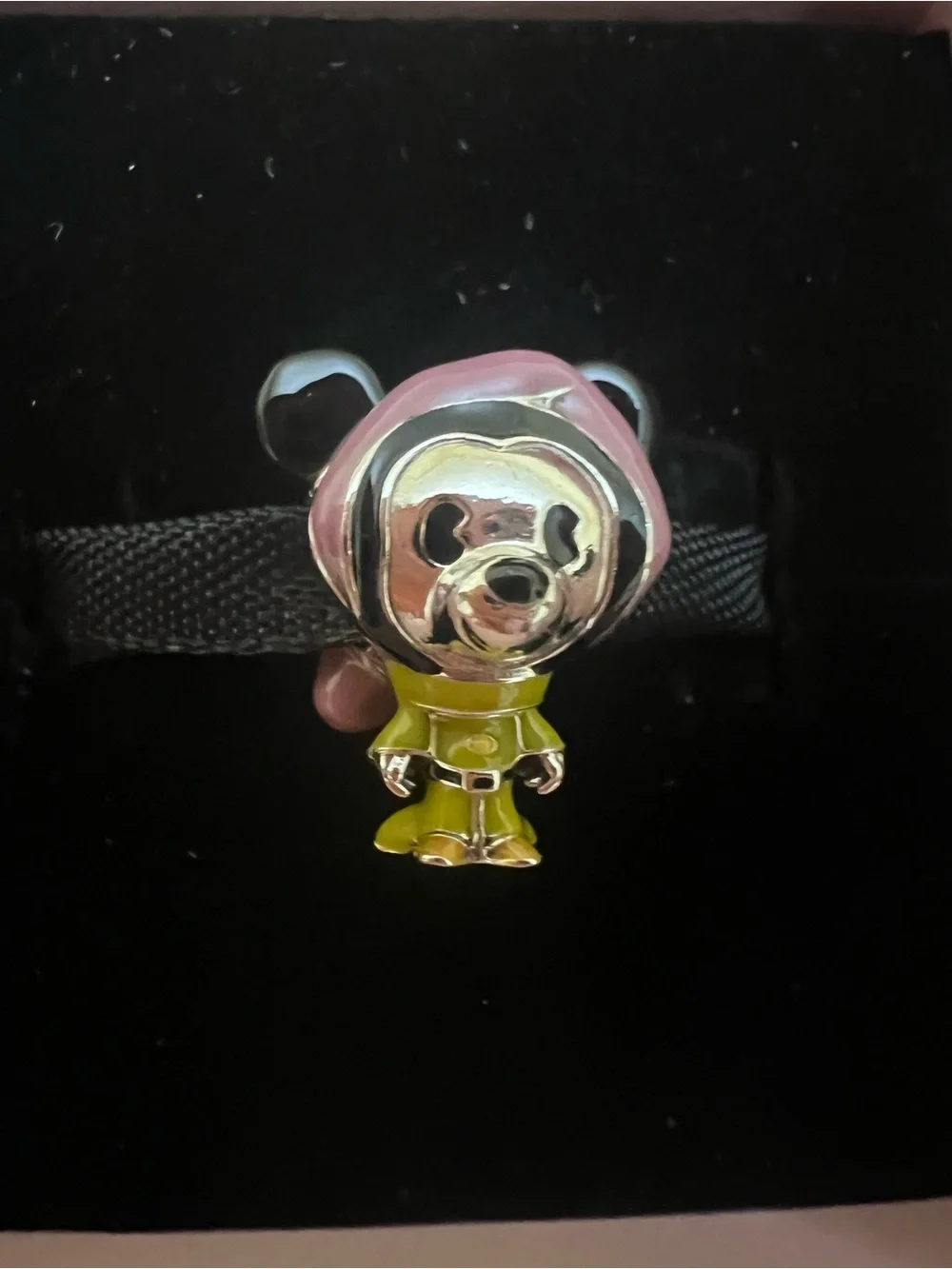 Disney Enamel Bear Charm - Pink Hood & Lime Outfit